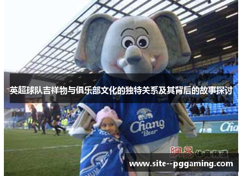 英超球队吉祥物与俱乐部文化的独特关系及其背后的故事探讨