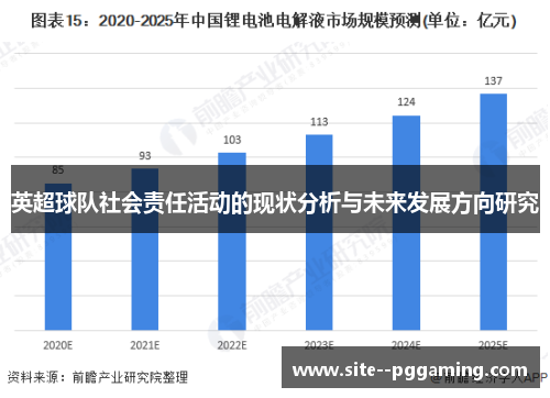 英超球队社会责任活动的现状分析与未来发展方向研究 英超球队社会责任活动的现状分析与未来发展方向研究
