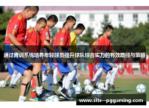 通过青训系统培养年轻球员提升球队综合实力的有效路径与策略 通过青训系统培养年轻球员提升球队综合实力的有效路径与策略
